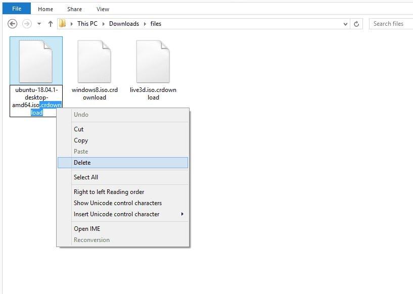 What is a .crdownload File and How to Open It?