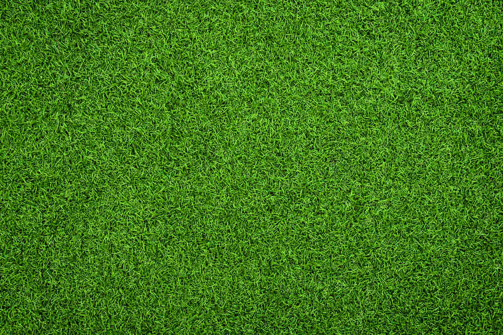 The Technological Marvels Behind the Evolution of Artificial Grass