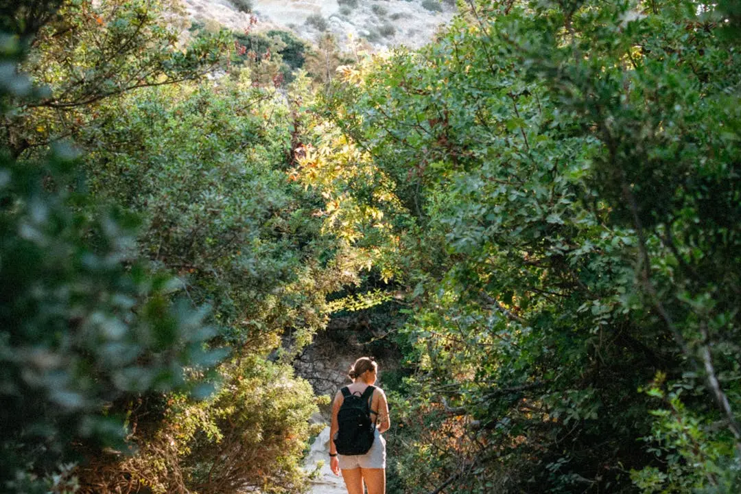 8 Ways to Find Cheap or Free Things to Do During The Summer